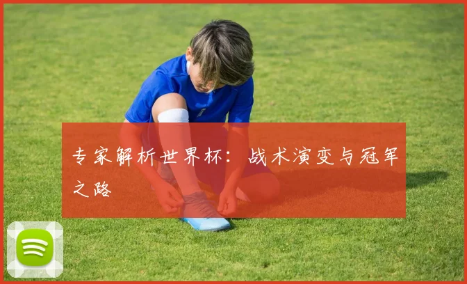 专家解析世界杯:战术演变与冠军之路