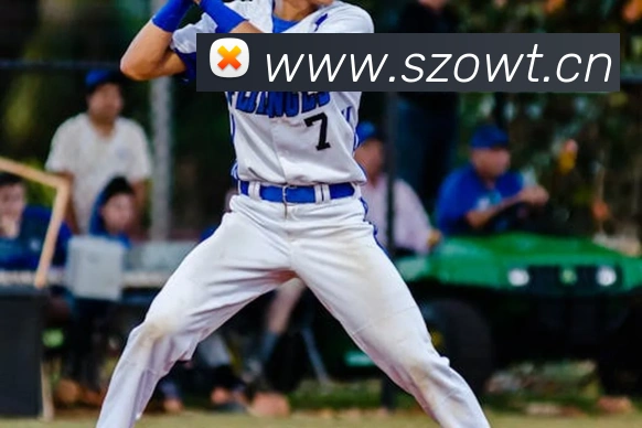 App Interface Preview